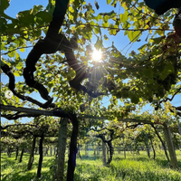 Spanish Wines Tasting Event with Miguel Crunia