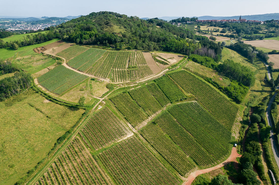 Meet the Winemaker: Domaine Pignier, Jura - France