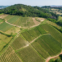 Meet the Winemaker: Domaine Pignier, Jura - France