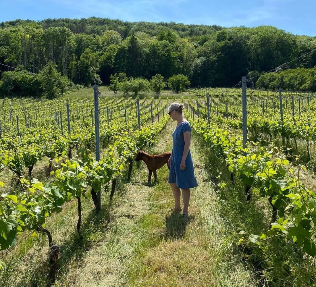 Meet the Winemaker